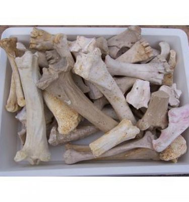 Bones Assort Small Leg Pieces