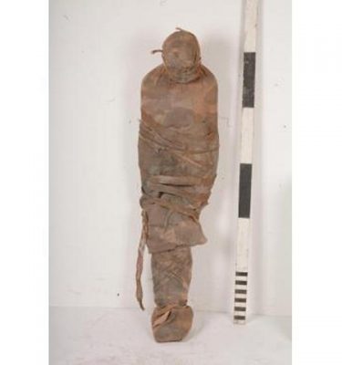 Mummy Full Sized 1650
