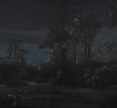 Backdrop 006 Garden At Night. Sequin Stars 30'X15'
