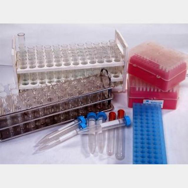 0064053 Test Tubes And Holders Stockyard Prop and Backdrop Hire