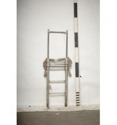 Extendable Ladder 2750X410
