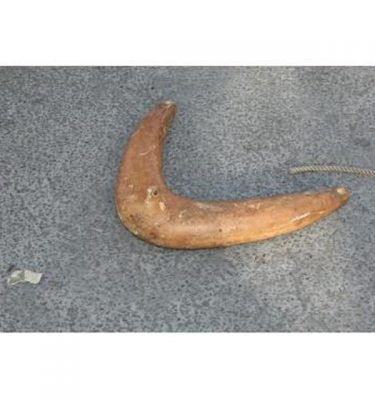 Float 3