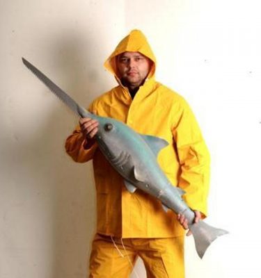 Model Swordfish Has Wallhanging Board