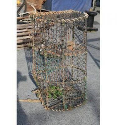 Lobster Pot