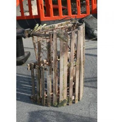 Lobster Pot
