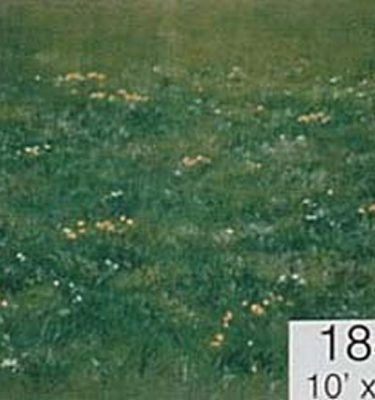 Backdrop 184 Green Meadow 10'X9'