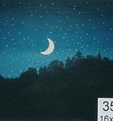 Backdrop 354 Starry Night Sky, Crescent Moon Over Treeline 16'X15'