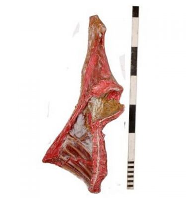 3900039 Fibreglass  Meat  Carcass x 17 off   1870X720X350
