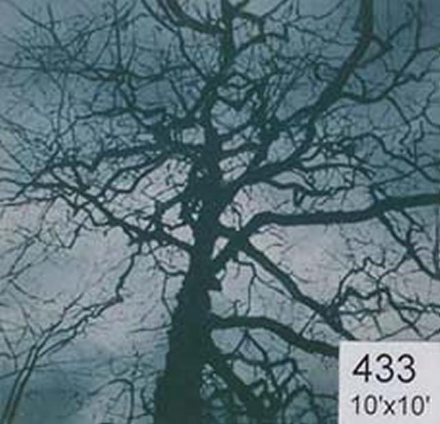 Backdrop 433 Autumn Winter Tree 10'X10'