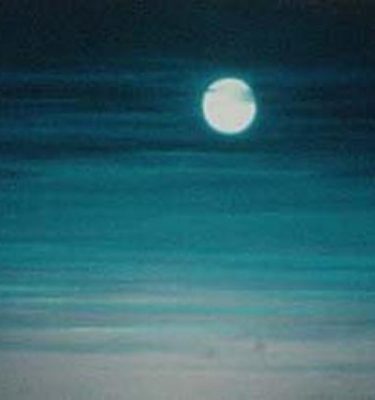 Backdrop 456 Night Sky With Full Moon 24'X15'