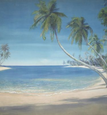 Backdrop 457 Tropical Beach &Amp; Palm Trees  457A 16'X12'