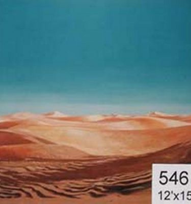 Backdrop 546 Desert Sand Dunes 12'X15'