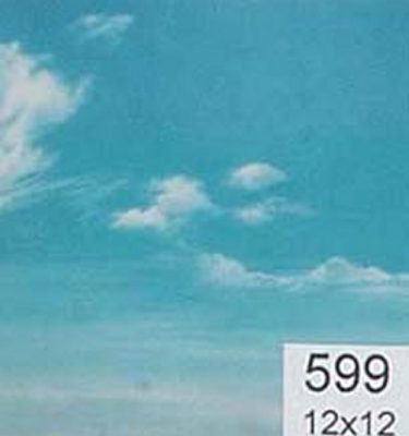Backdrop 599 Bright Blue Sky With Wispy Clouds 12'X12'
