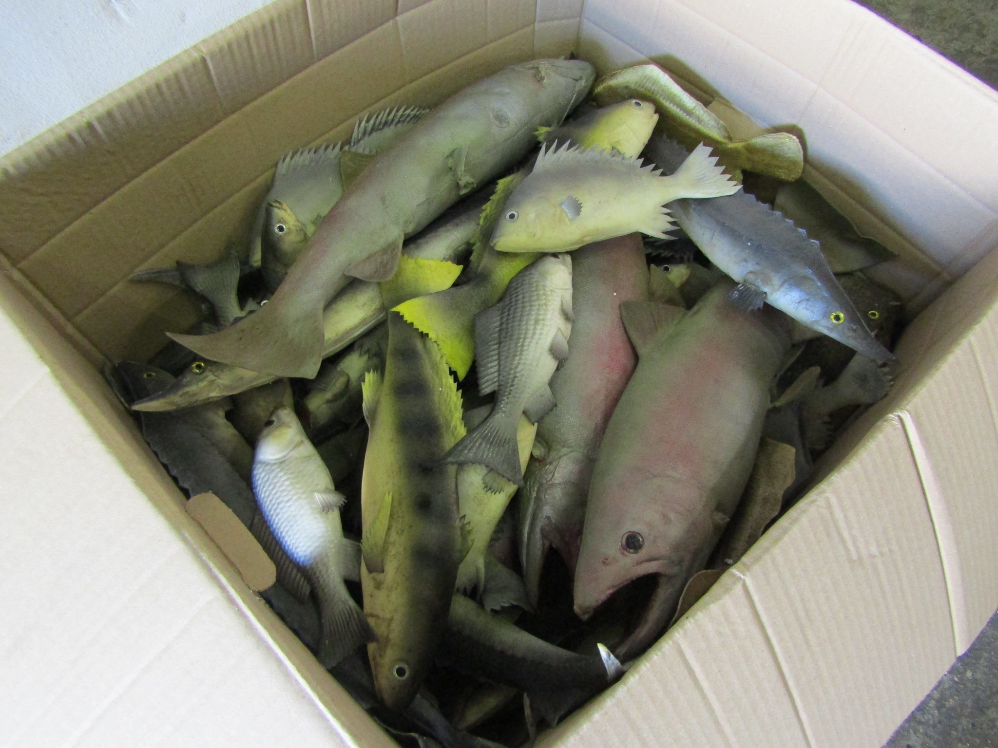 0089227 Large Box Of Dummy Rubber Fish, good quality – Stockyard