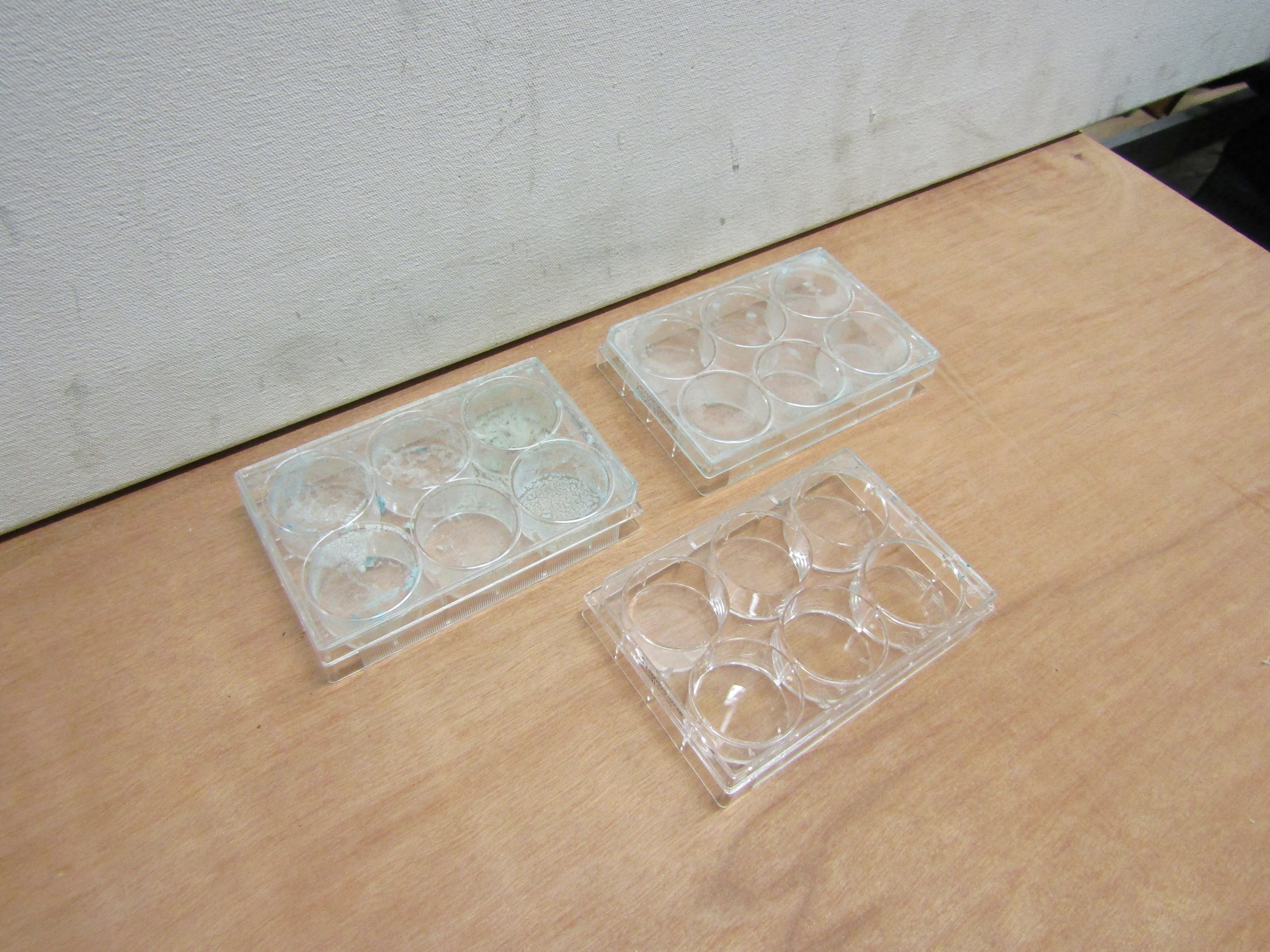 0064121 Lab Spot Plates ( H 2cm x 13 x 8 ) x 6 off Stockyard Prop and