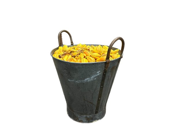 0410283 Metal Basket Filled With Artificial Tulip Petals ( H 39 cm x Dia 39 ) x 1 off